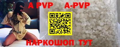 бошки Кингисепп