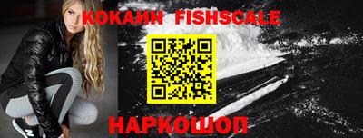 бошки Кингисепп