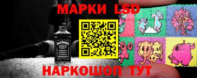 стафф Кимры