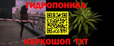 стафф Кимры
