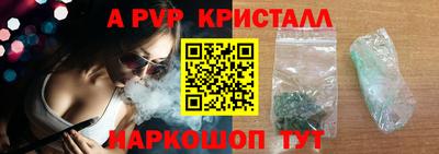 бошки Кингисепп