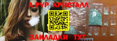 бошки Кингисепп